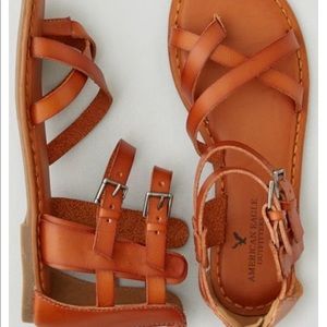 American Eagle gladiators